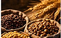 Sacks of coffee beans, soybeans, and wheat
